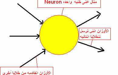 مقدمه في الشبكات العصبيه Neural Networks