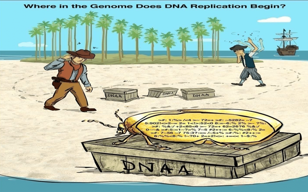 سلسلة معمل البيوانفورماتيك :الفصل الاول~أين يبدأ نسخ الجينوم؟